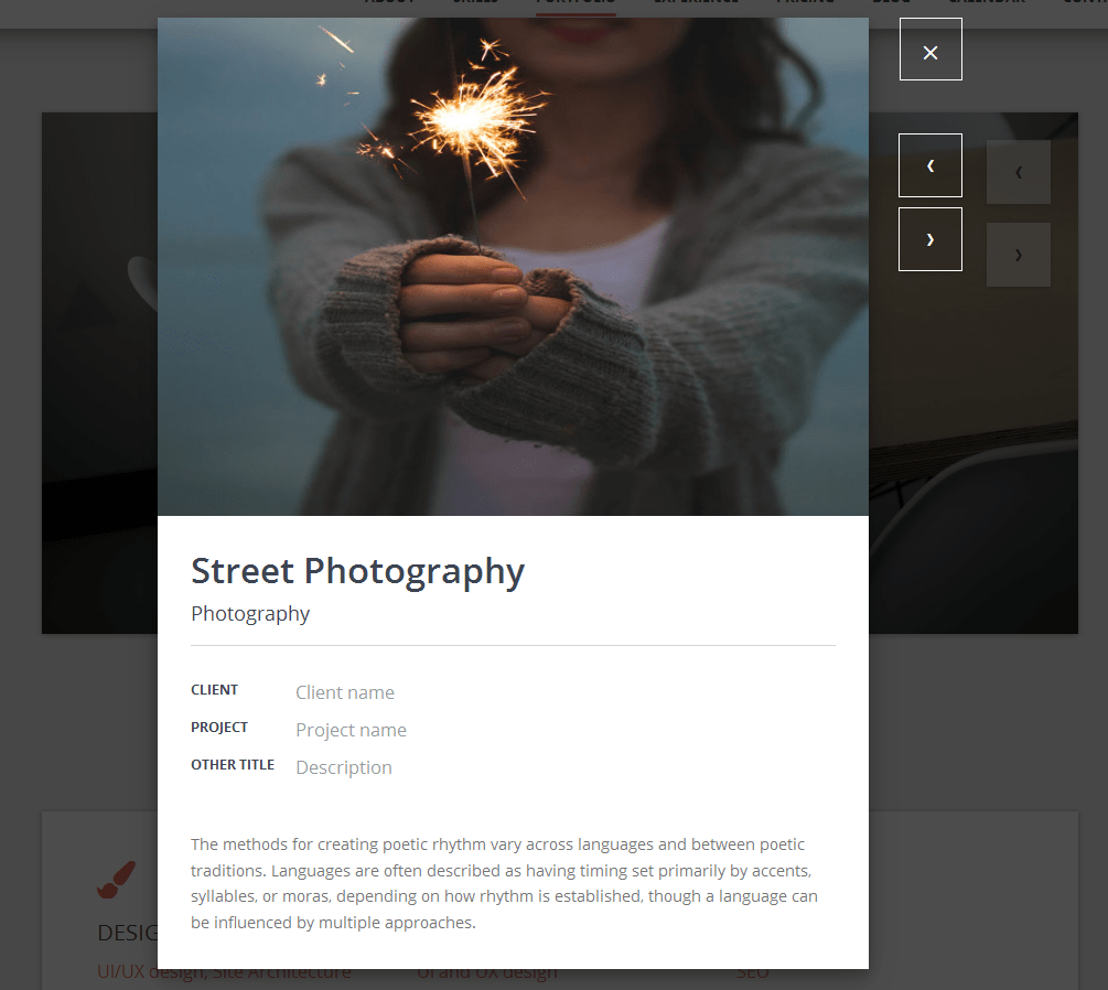 portfolio_single_project_popup
