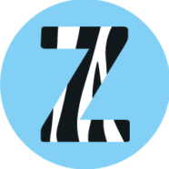 Profile picture of zebravoseocompanyahmedabad