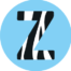 Profile picture of zebravoseocompanyahmedabad