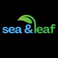 Profile picture of Seaandleaf